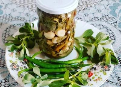 طرز تهیه ترشی خرفه طرز تهیه ترشی خرفه